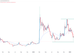Shiba Inu Price